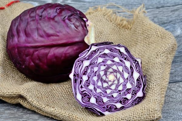 تصویر 2 از خرید کلم پیچ قرمز + بهترین قیمت